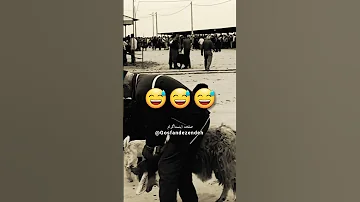 ضرب المثل پولته بده و دزد مده به بز حسن وجدانی بز بزغاله پول ضرب المثل 