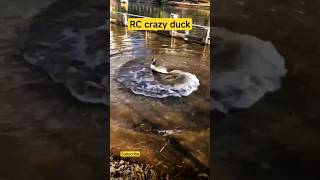 Rc Crazy Duck