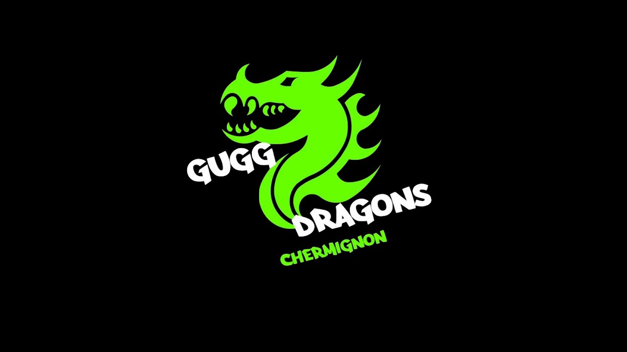 Gugg'Dragons - 20 Ans