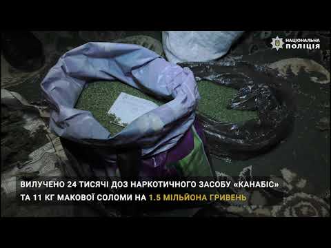 Поліція Чернівецької області: Від початку 2019 року поліцейські Буковини припинили діяльність 5 організованих груп наркозлочинців Поліція Чернівецької області: Від початку 2019 року поліцейські Буковини припинили діяльність 5 організованих груп наркозлочинців