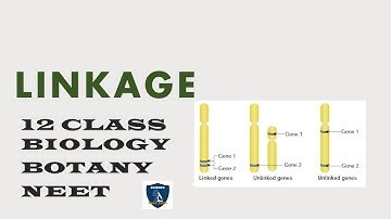 Linkage | Chromosomal Basis of Inheritance | Botany 12th Class | Science Easy Tech