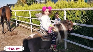 İpek Ve İki̇z Kardeşleri̇ At Çi̇ftli̇ği̇ne Gi̇tti̇ler Pony Ve Mi̇di̇lli̇ Atina Bi̇ndi̇ler Çocuk Vi̇deolari