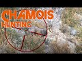Alpine chamois hunting in france 12  chasse au chamois en france 12  2018