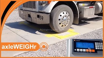 Rinstrum In Motion Axle Scale (US)