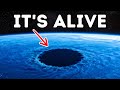 Marine Biologists Just Found Something Truly Insane