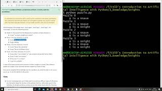 Information Knights - a program to solve logic puzzles Guide