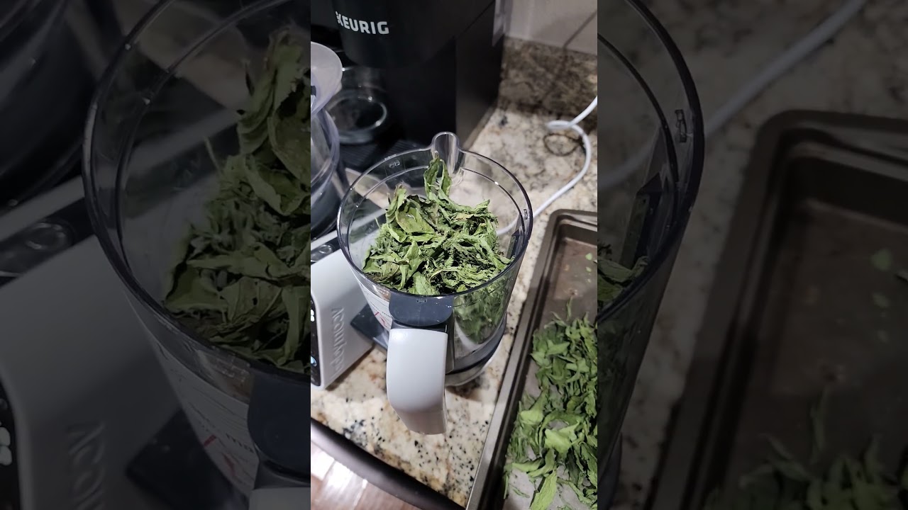 Grown, harvested, dried, blended at home. DIY stevia powder.