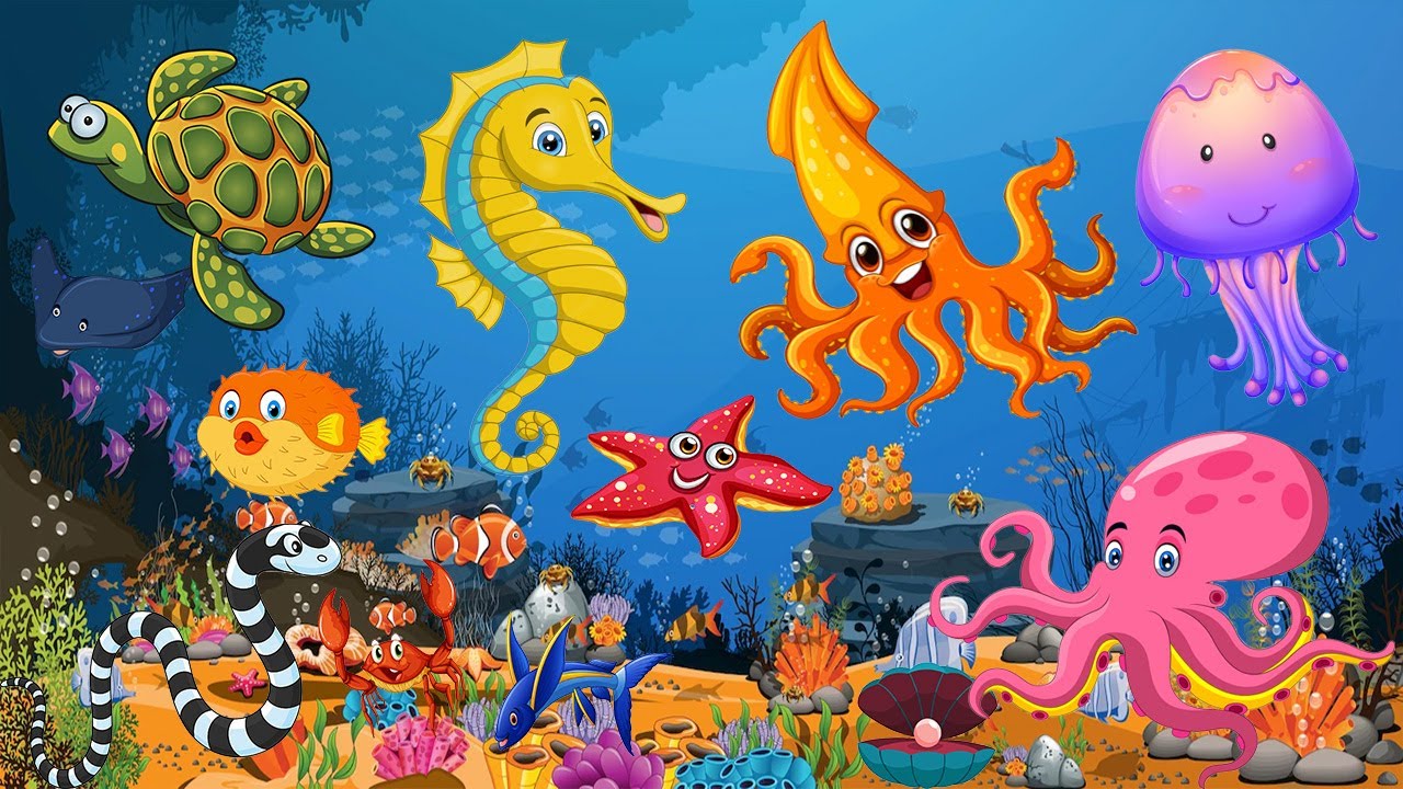 Sea Animals Learning Aquatic Animals Names Sea Animal Song Deep