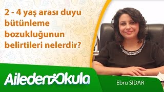 2 - 4 yaş arası duyu bütünleme bozukluğunun belirtileri nelerdir?