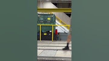 #loop #shorts #short #shortvideo #shortsvideo #shortsfeed #shortfeed  #loops #looping #shortsviral