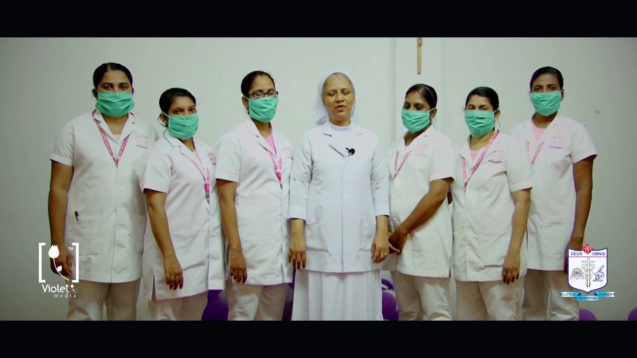 Little Flower Angamaly Contact Number Best Flower Site