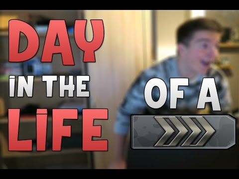 Day In The Life of a Silver!