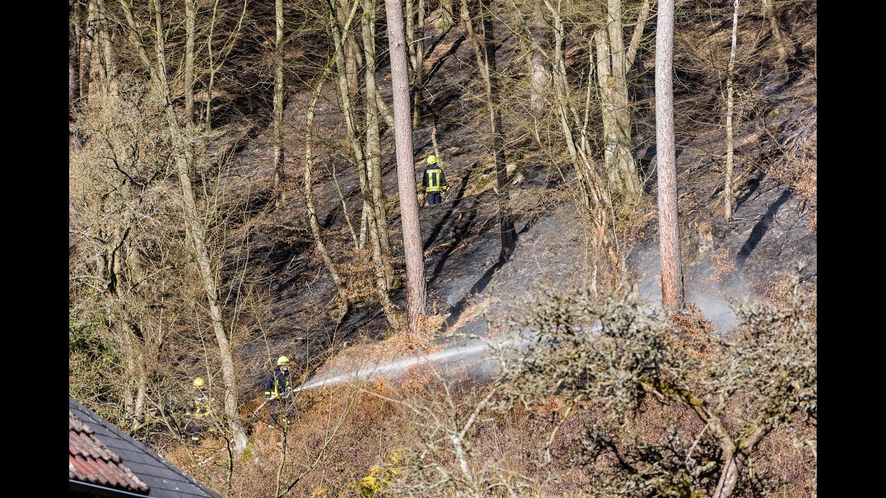 Größerer Waldbrand im Steilhang fordert Feuerwehren in Schlangenbad heraus