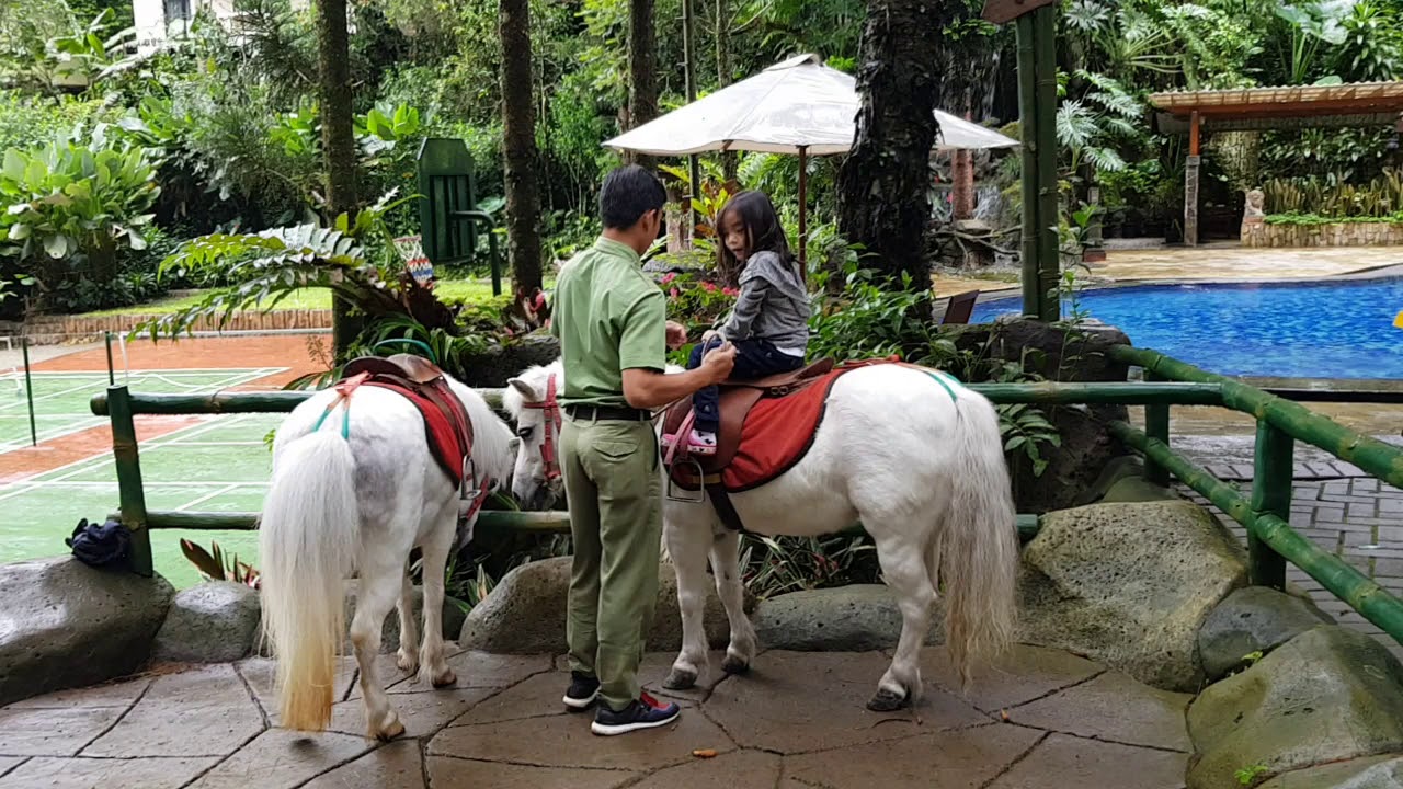 Mini Pony Ride Mini pony ride - YouTube
