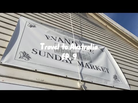 travel vlog | オーストラリア旅行/タスマニア生活/Evandale Sunday market マーケットを歩く/農家の仕事/卵ごはん