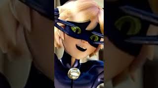 Cat🐈‍⬛ … #shotrs #gif #viral #video #videoshort #youtubeshorts #miraculous