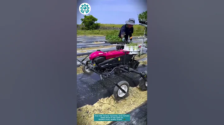 Smart Japanese Farming! 🧅🌱 Green Onions & Tomatoes with Modern Machines
