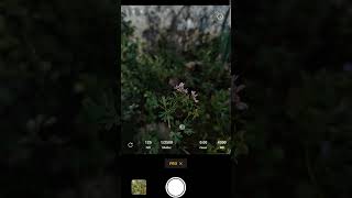 Mobile photography hacks😯 #shorts
