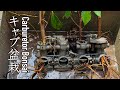[キャブ盆栽] キャブレター盆栽を植えかえる日本の夏。CARBURETOR BONSAI 　I repotted my banyan tree Carburetor bonsai.