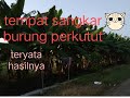 Teryata ini tempat burung perkutut