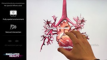 Heart in Simulated Reality