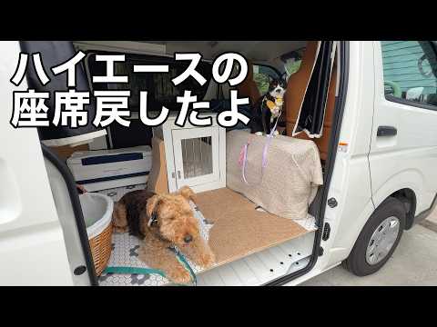 愛犬愛猫と車中泊したくて少しずつ準備していくよ［独身女と犬猫4匹暮らし］