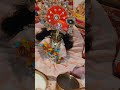 radhe Krishna #viral #shorts #reels