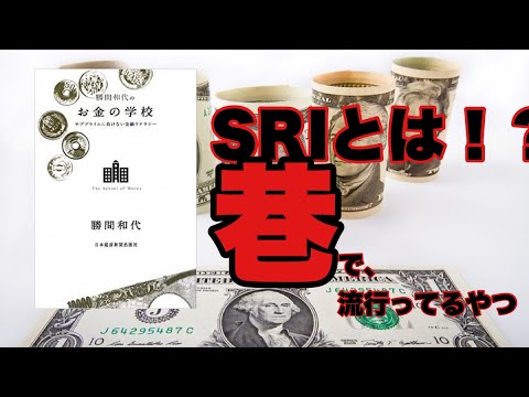 SRIとは！？今、巷で流行っている投資の指標【お金の学校】
