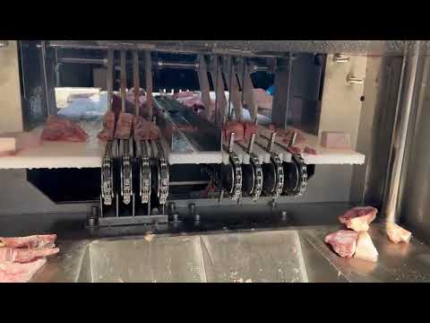 Automatic bone saw machine to cut frozen ribs