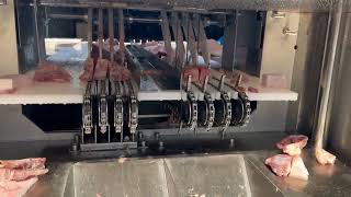 Automatic bone saw machine to cut frozen ribs
