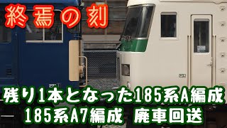 EF64に連れられ最期の旅を満喫 185系A7編成  廃車回送