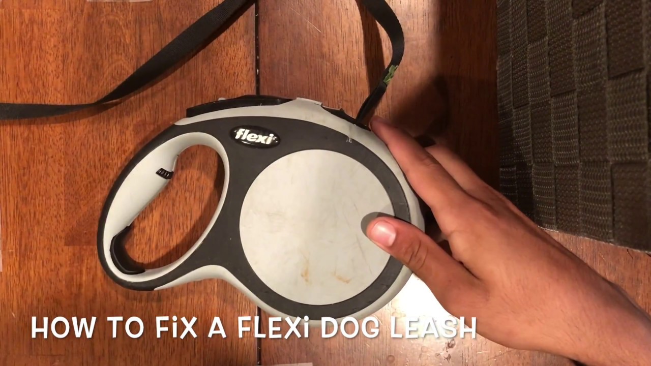to Fix a Flexi Leash (without screws 