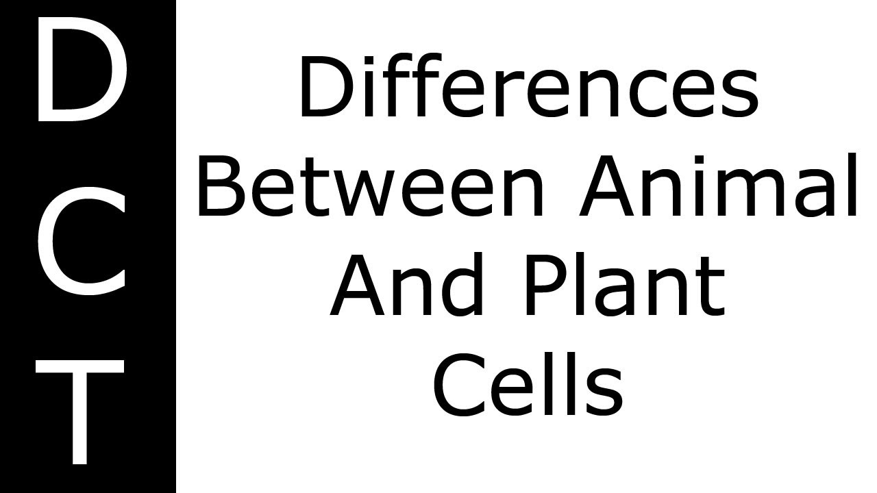 Differences Between Animal And Plant Cells (KS3/K7-11 ...