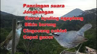 pancingan jongkangan