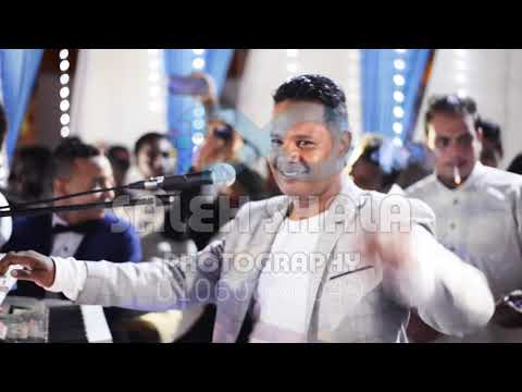 بيبيو ليله تامر عثمان شايل الافراح 