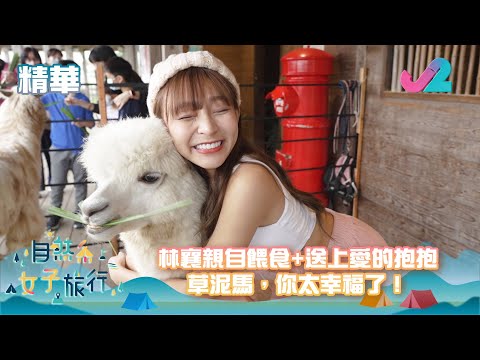 【精華 EP01｜自然系女子旅行】林襄親自餵食同送上愛的抱抱！草泥馬，你太幸福了！ #林襄