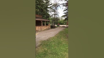 #Treefall
