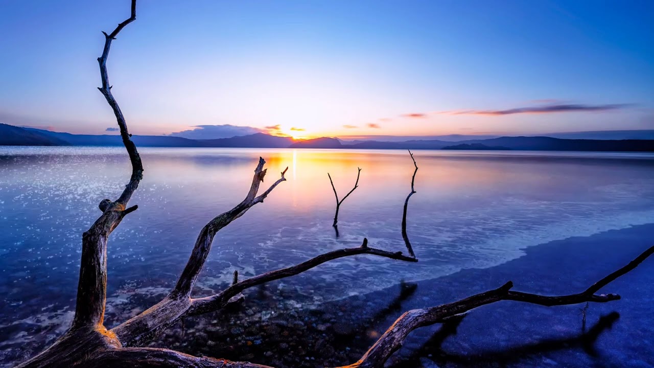 The Ambient Music - BearStockMusic