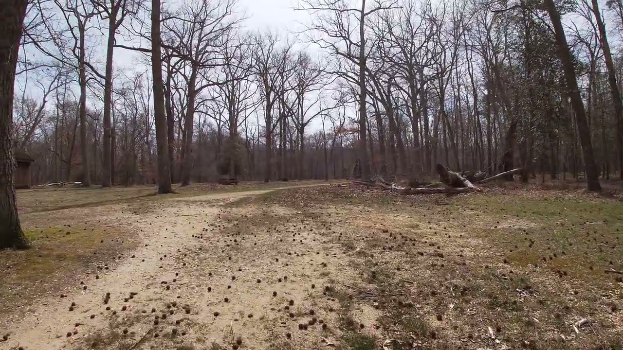 Oh no, my wheelchair got stuck! Not so fully accessible dirt and gravel trail! Allaire State Park