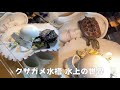 【クサガメ子亀】 女性顔の陶器と女優帽の陶器を陸場にしているクサガメ水槽