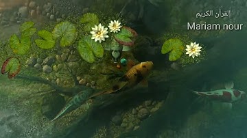 اجمل تلاوة طفل خاشعة سورة البروج