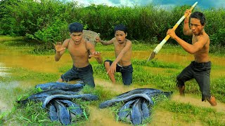 Survival in the rainforest-mans found cat fishes for grilled -Eating delicious