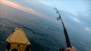 Found A Striper Blitz! + Jigging Bucktails For Seabass and More! Exploring Rhode Island