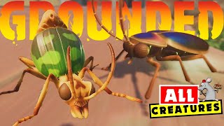 GROUNDED - What CREATURES are In The Game Now And In The Future!