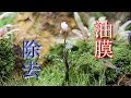 【商品レビュー】油膜除去