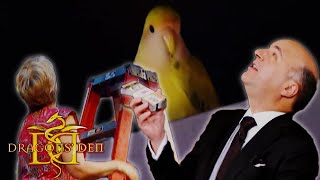 Wacky Librarian Loses Her Pet Istant During Pitch Dragons Den Canada