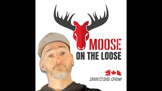 15 Safe stocks in this volatile market