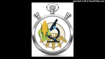 60 Seconds of Science - Stop Top Soybean Yield Threat - 1 of 3