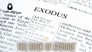 BIBLEin365: The Book of Exodus (3.0) - YouTube
