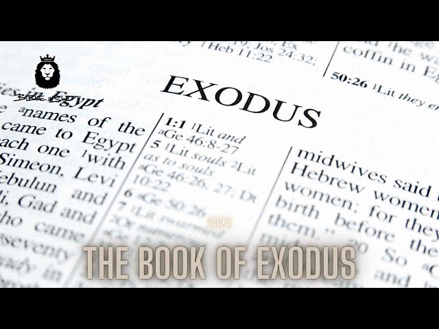 BIBLEin365: The Book of Exodus (3.0) - YouTube